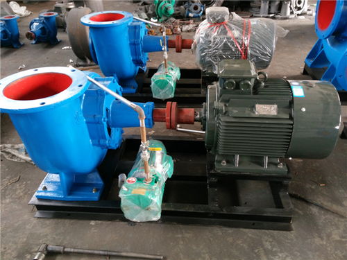 南京大流量hw型混流泵 雙能水泵 大流量hw型混流泵價(jià)格