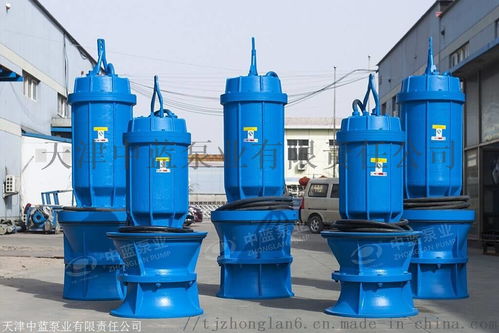 潛水貫流泵 河道灌溉斜坡專用設(shè)計(jì)與臥式全貫流泵的應(yīng)用