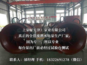 探索流體世界的隱秘力量 潛水貫流泵、全貫流閘門泵、燈泡泵與臥式全貫流泵技術解析